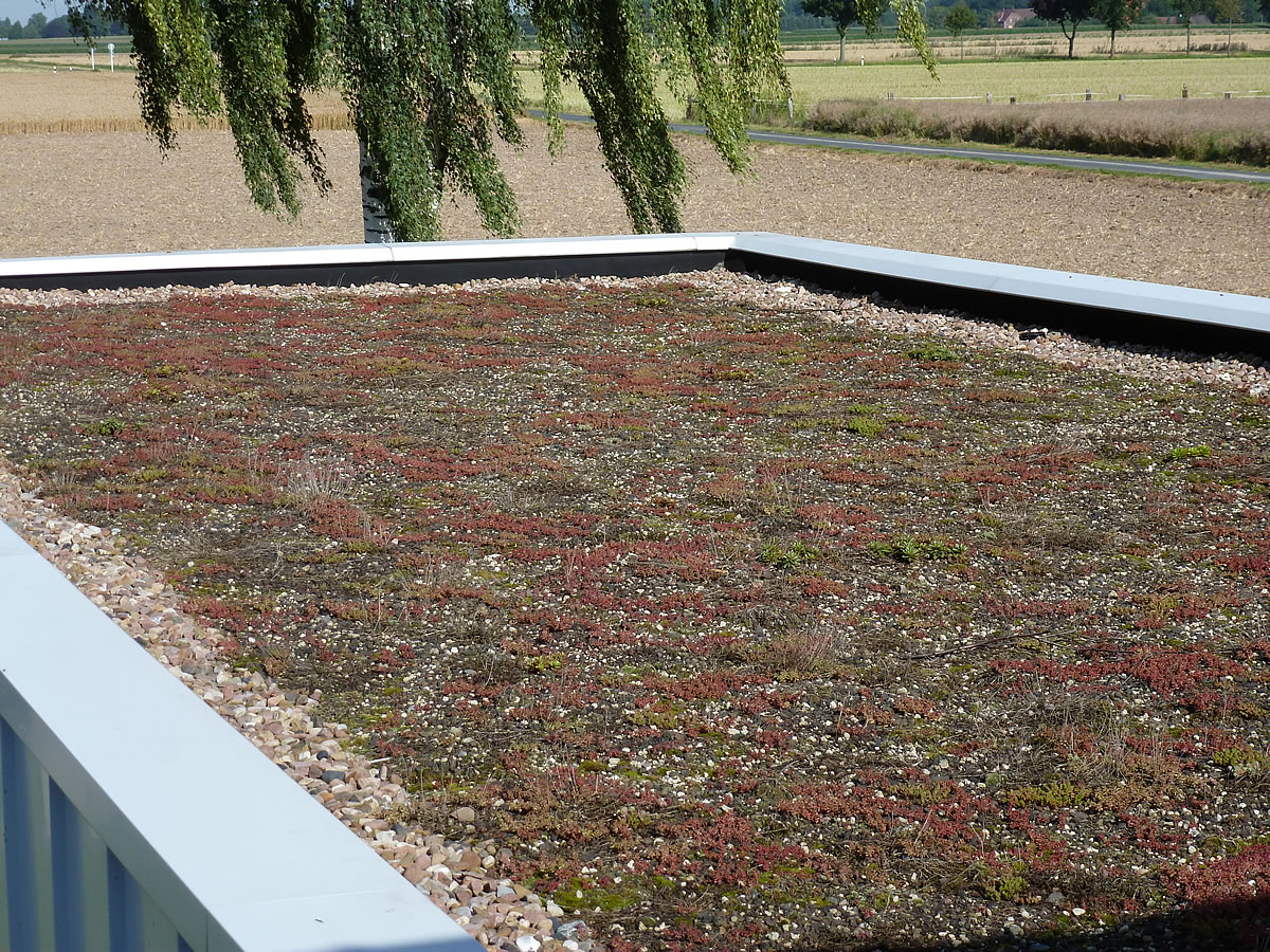 Garagenblende Minden / Carport / Garage / Referenzen / Dachdecker Minden  und Zimmerei Minden - Zimmerei und Dachdeckerei für das Dach Minden